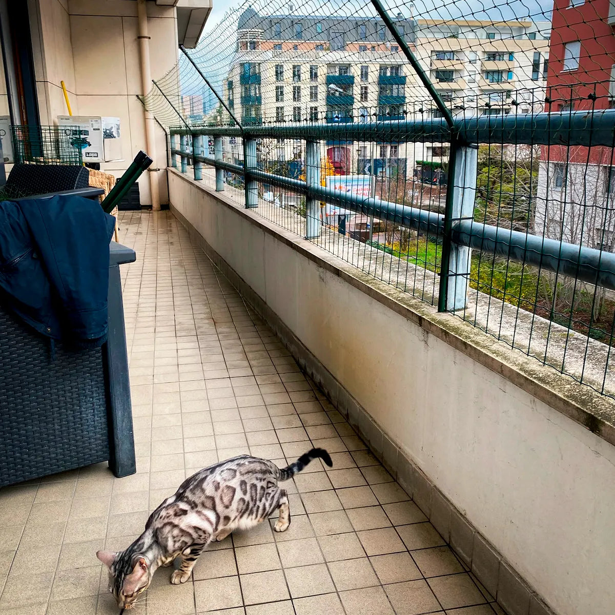 Cloture pour chat fixée sur une terrasse avec filet de protection renforcé et bavolets