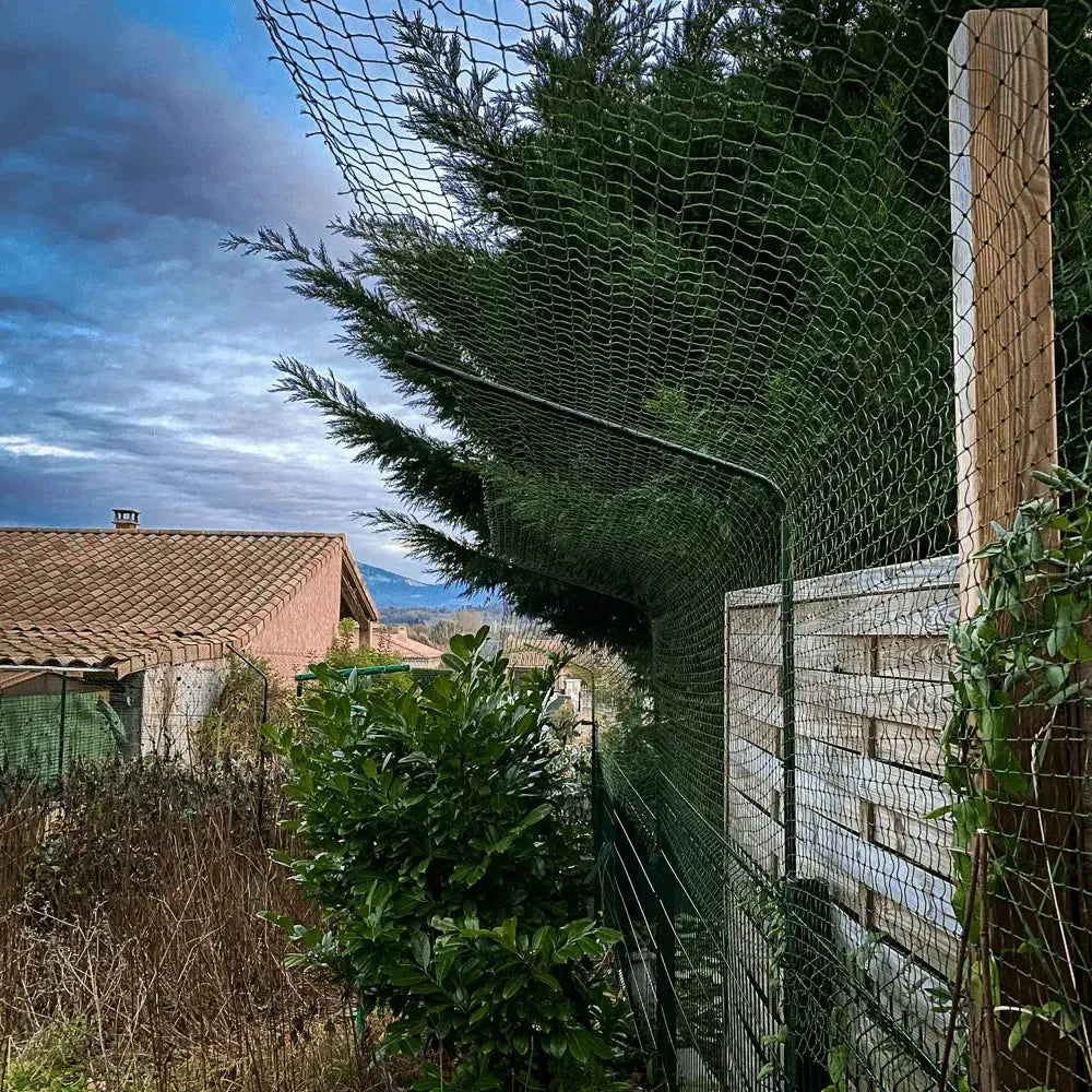 Un bavolet pour chat avec un filet pour créer une cloture dans un jardin