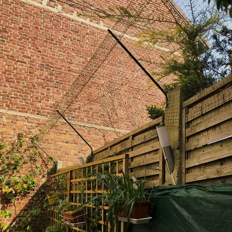 Bavolet anti fugue pour chats 100% sur mesure