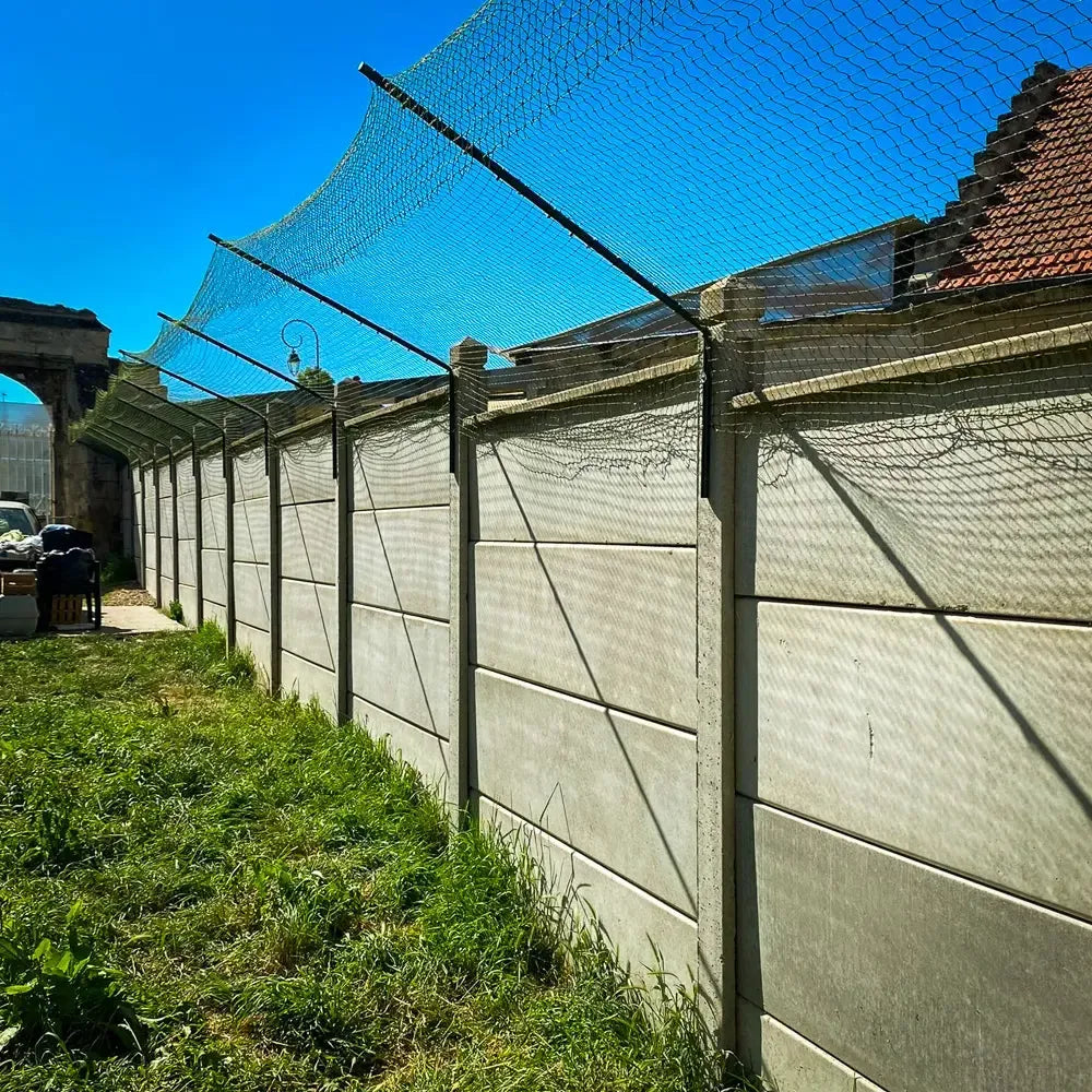 Bavolet pour chat efficace contre les fugues