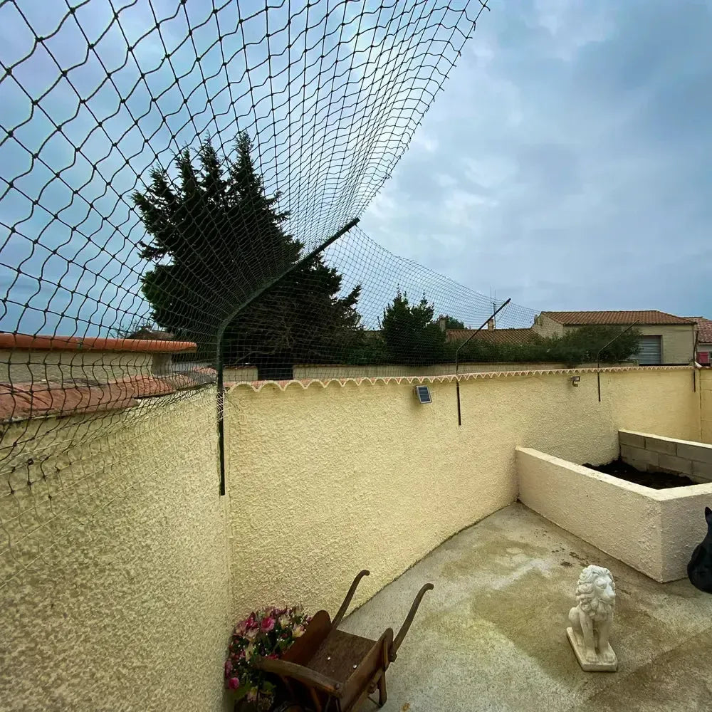 Grillage anti fugue pour chat dans une cour