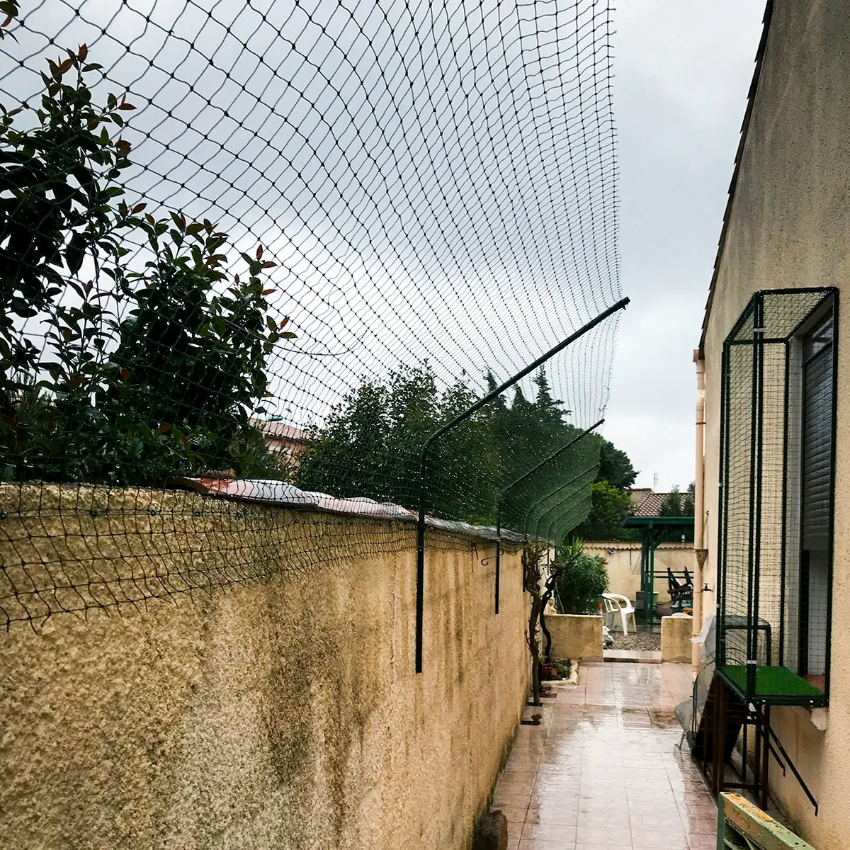 Bavolets et filet de protection pour chat fixés sur un mur