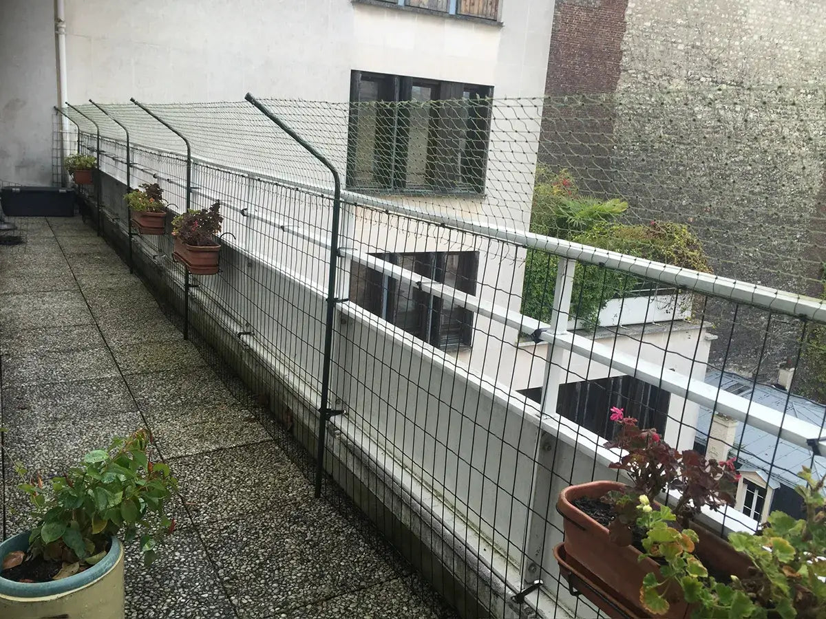 Bavolet de protection pour chat anti-fugue installés sur balcon blanc ouvert