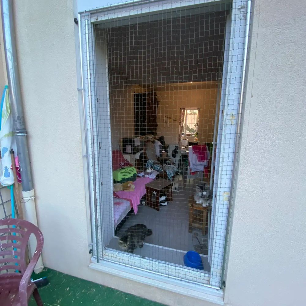 Cadre anti-fugue pour chat installé sur une porte fenêtre
