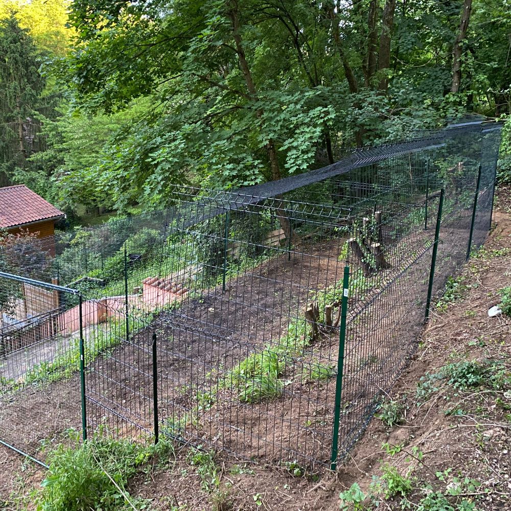 Cage noir dans jardin en pente avec filet aérien