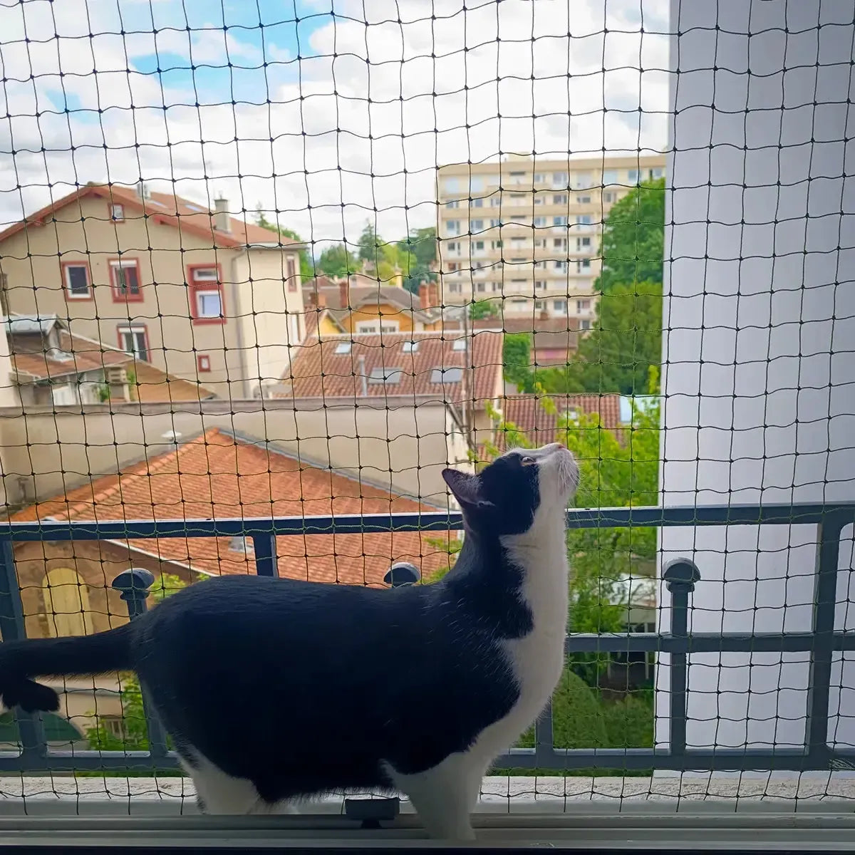 Un filet balcon pour chat