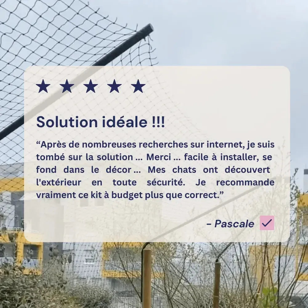 Un avis sur les bavolets pour chat