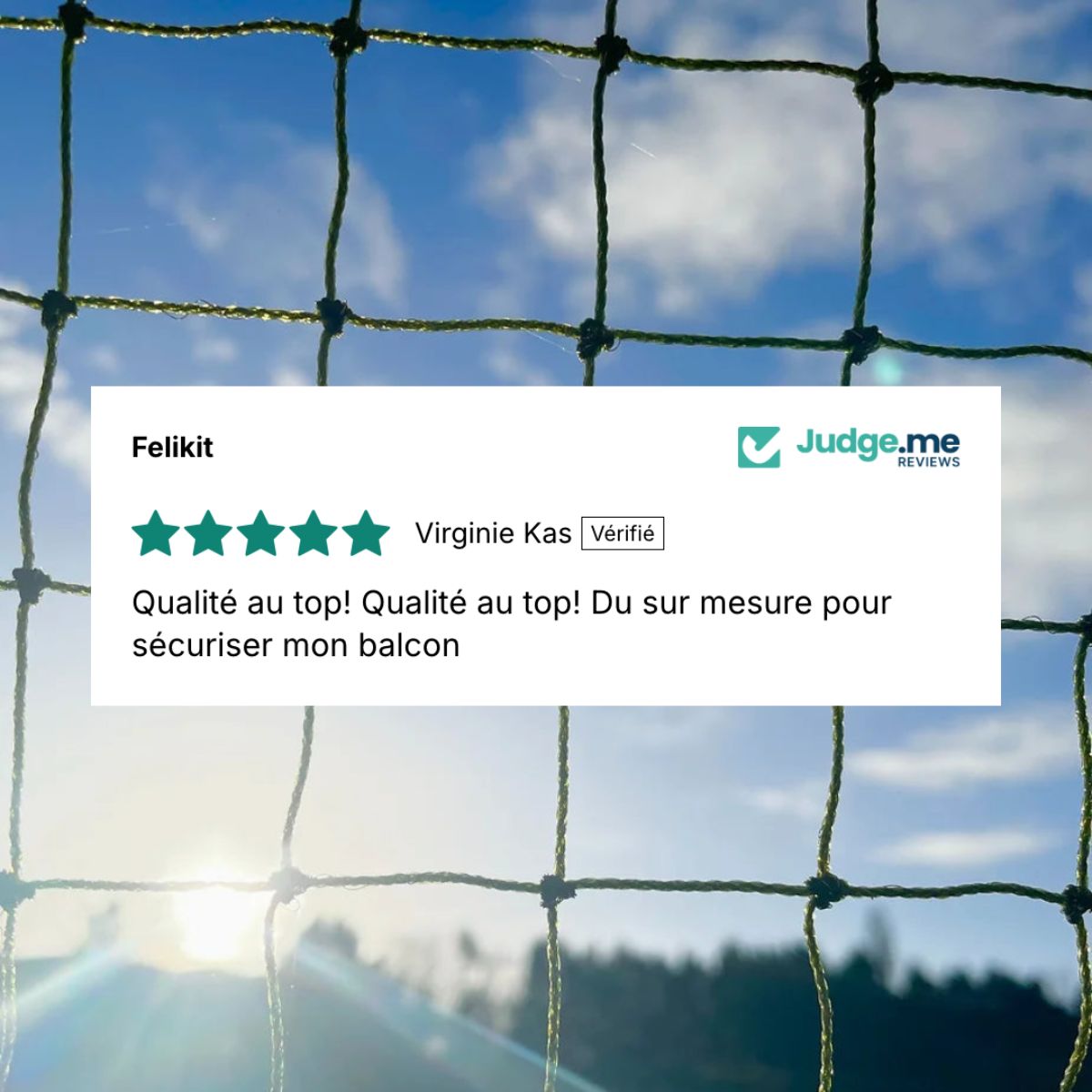 Avis concernant le filet de protection pour chat de Felikit