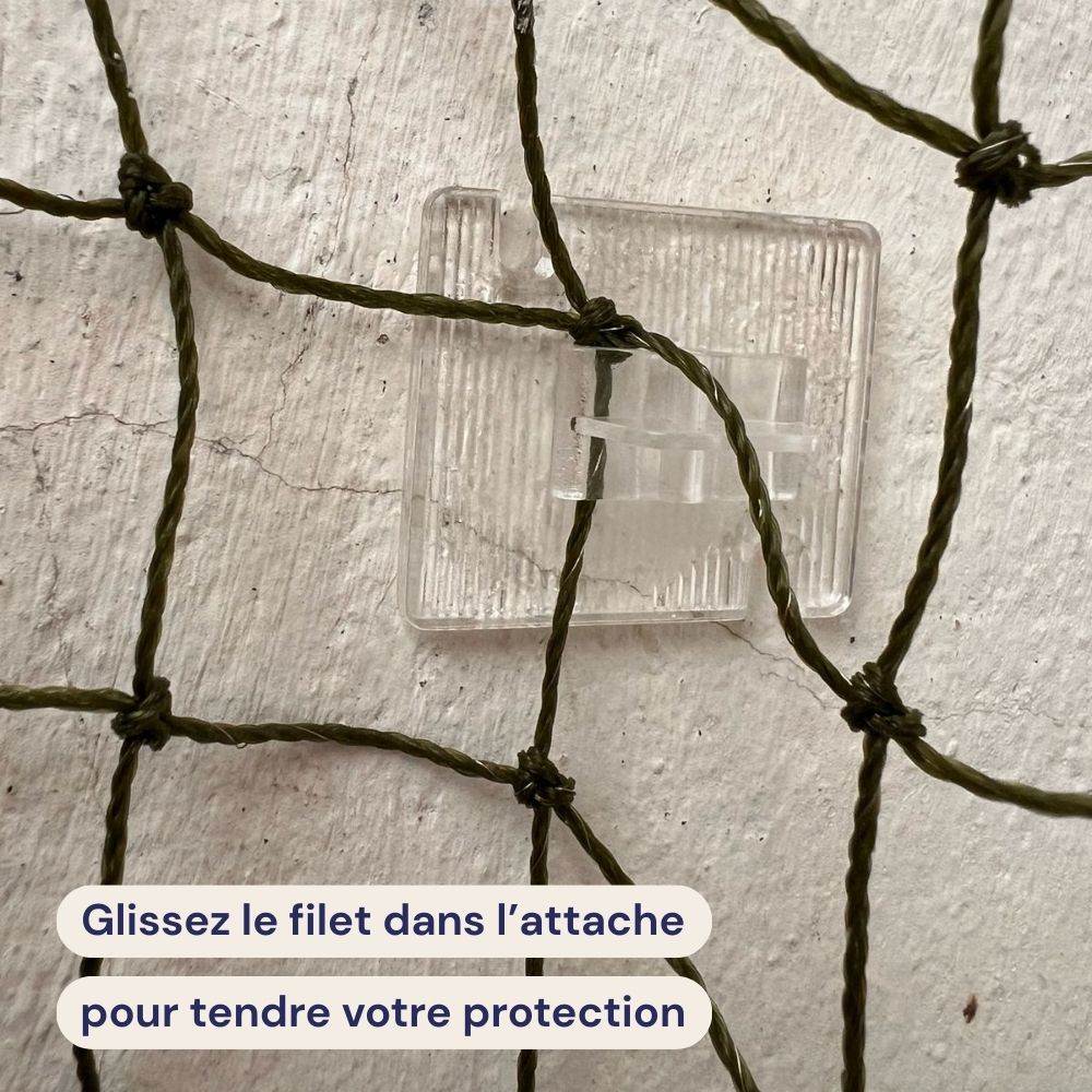 Attaches Bird-Tech™ avec colle