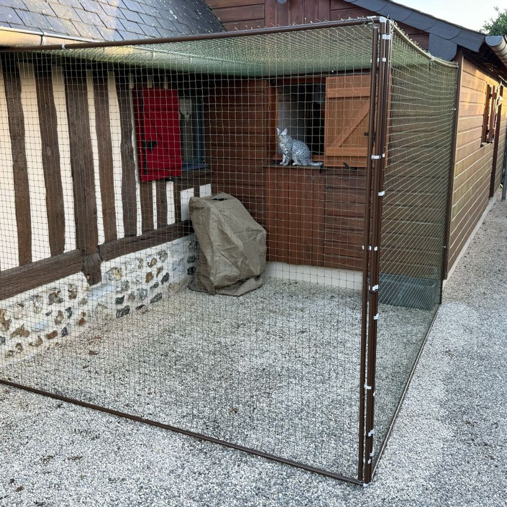 Outdoor cat enclosure/catio
