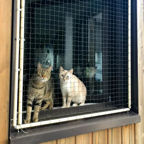 cadre avec filet pour chat amovible sans trou ni vis