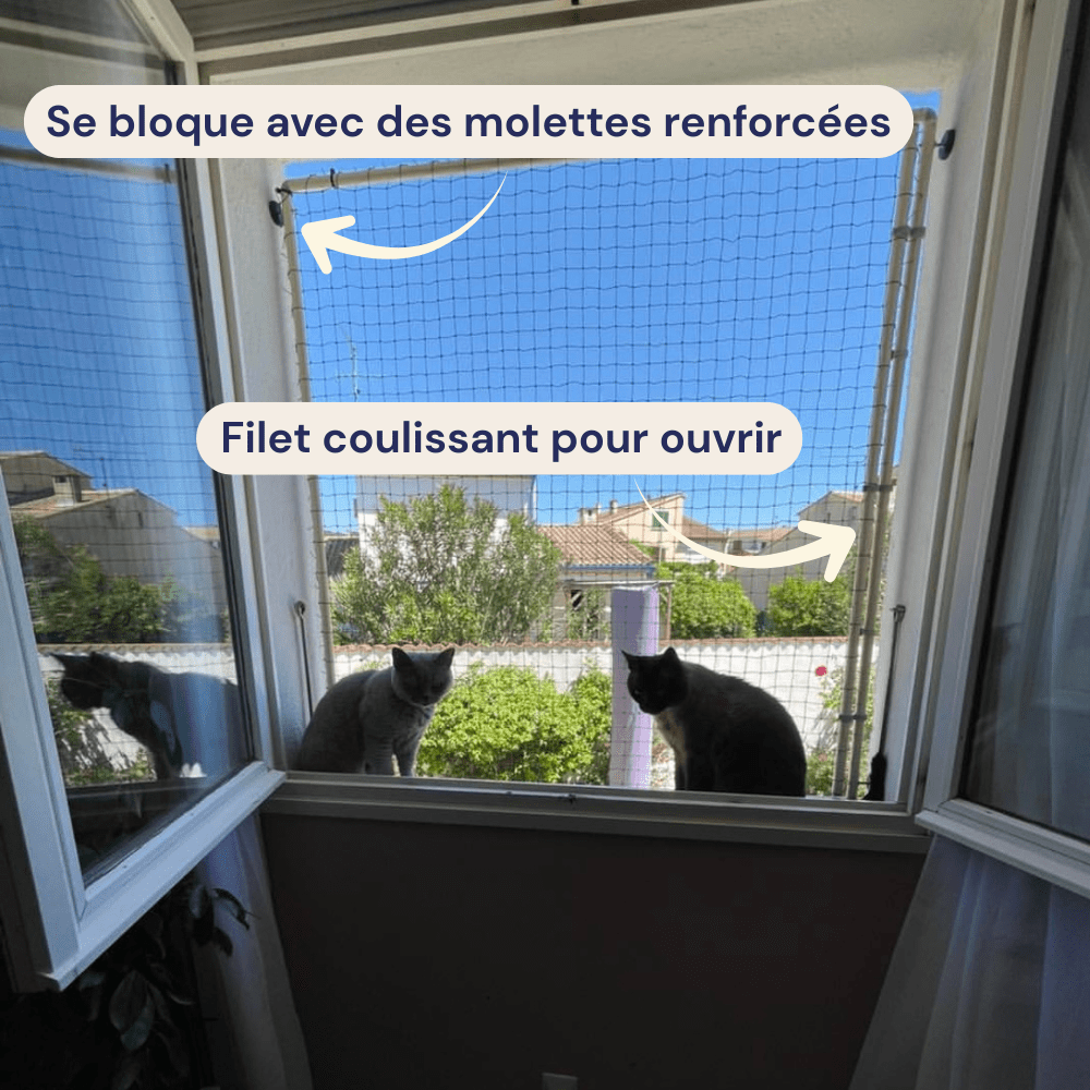 Explication du cadre pour chat avec molettes