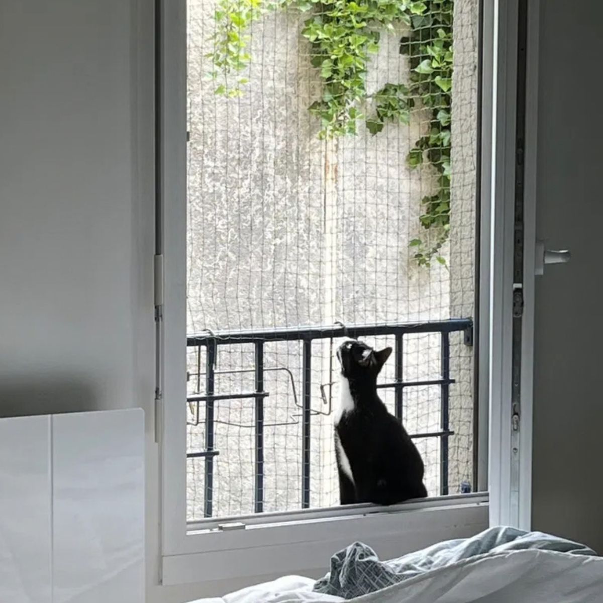 Filet pour chat sans percer (attaches Bird-Tech™)
