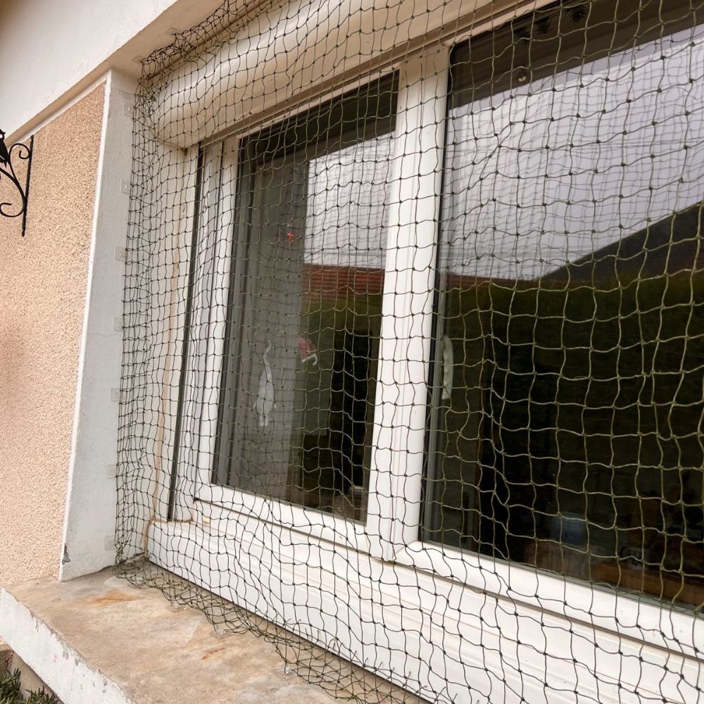 Filet pour chat sans percer (attaches Bird-Tech™)