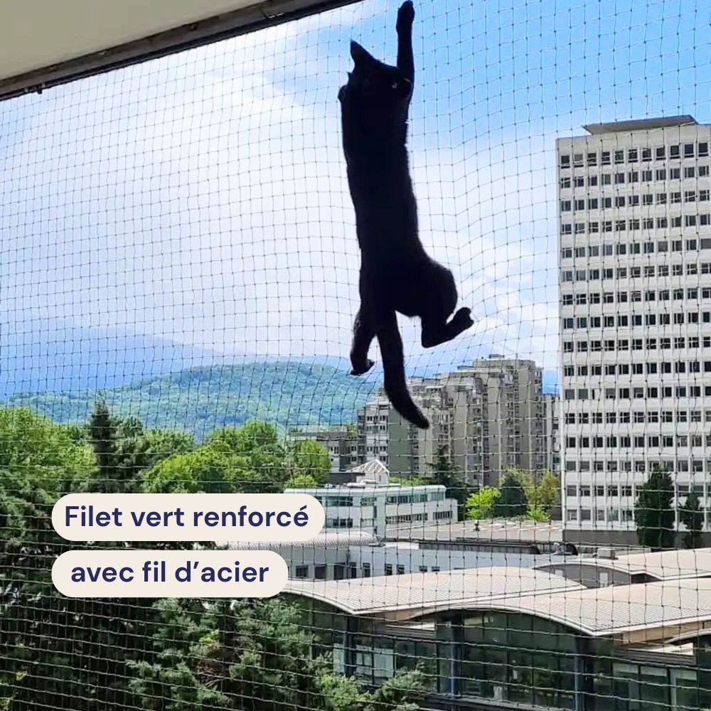 Un chat grimpe sur le filet pour chat balcon