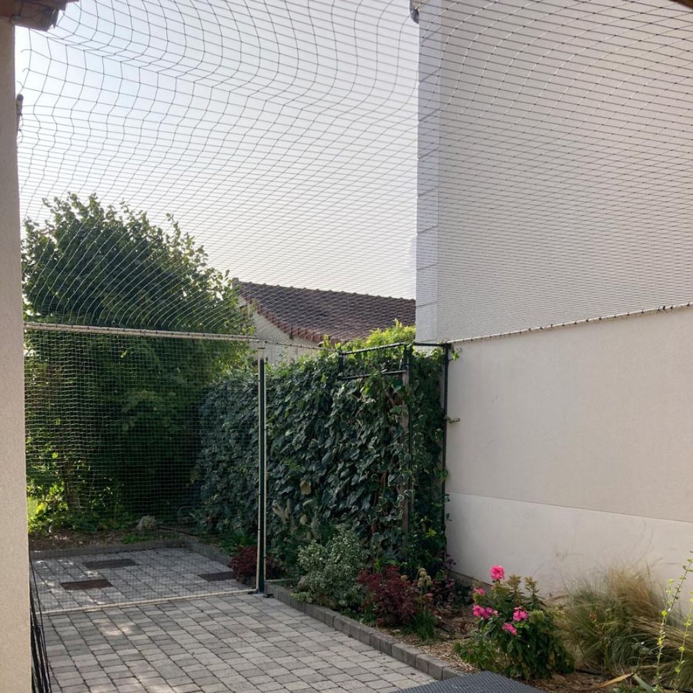 Filet de protection aérien pour chat