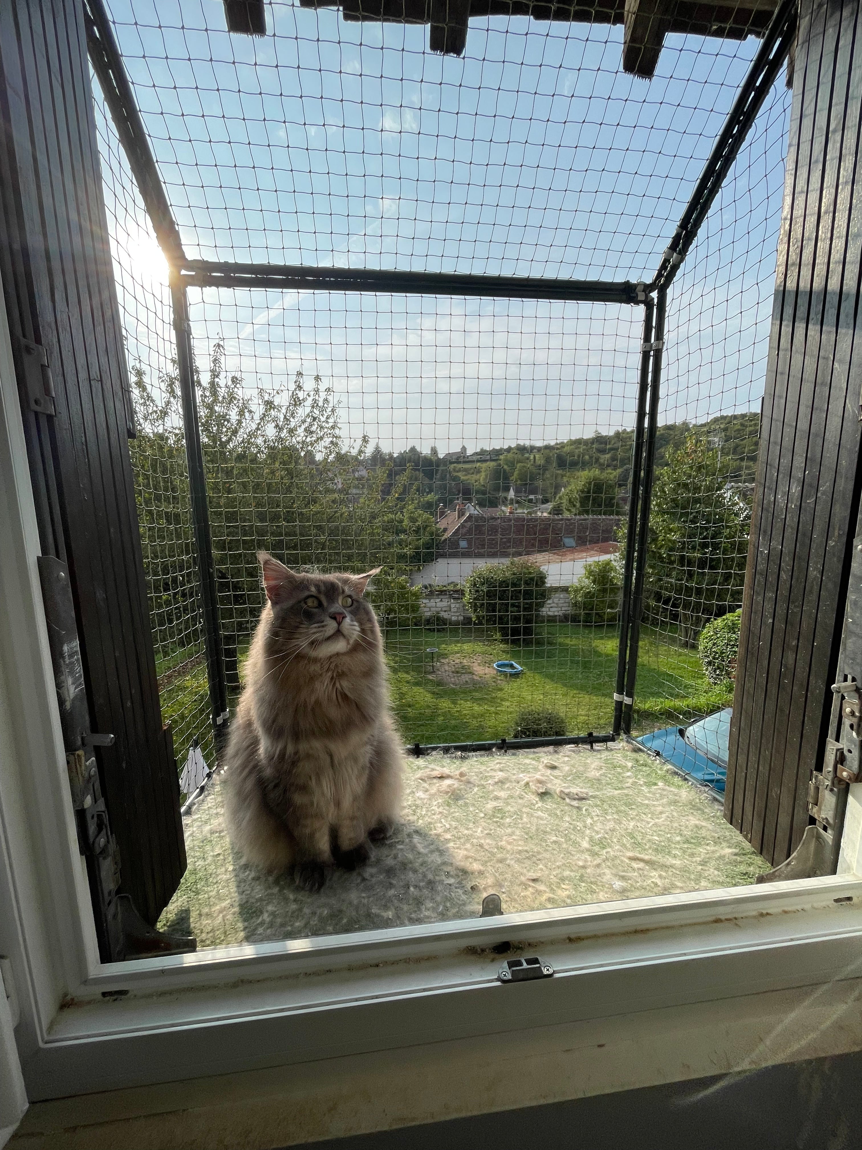Protection pour chats sur-mesure