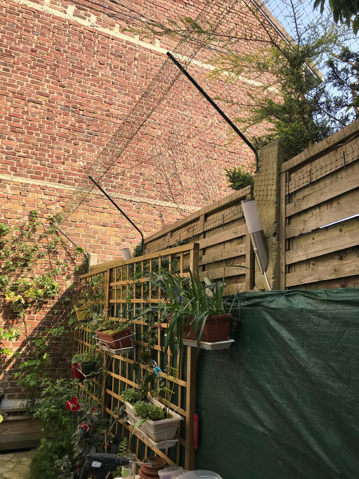Bavolet antifugue pour chat sécurisez jardin, balcon ou terrasse — free download
