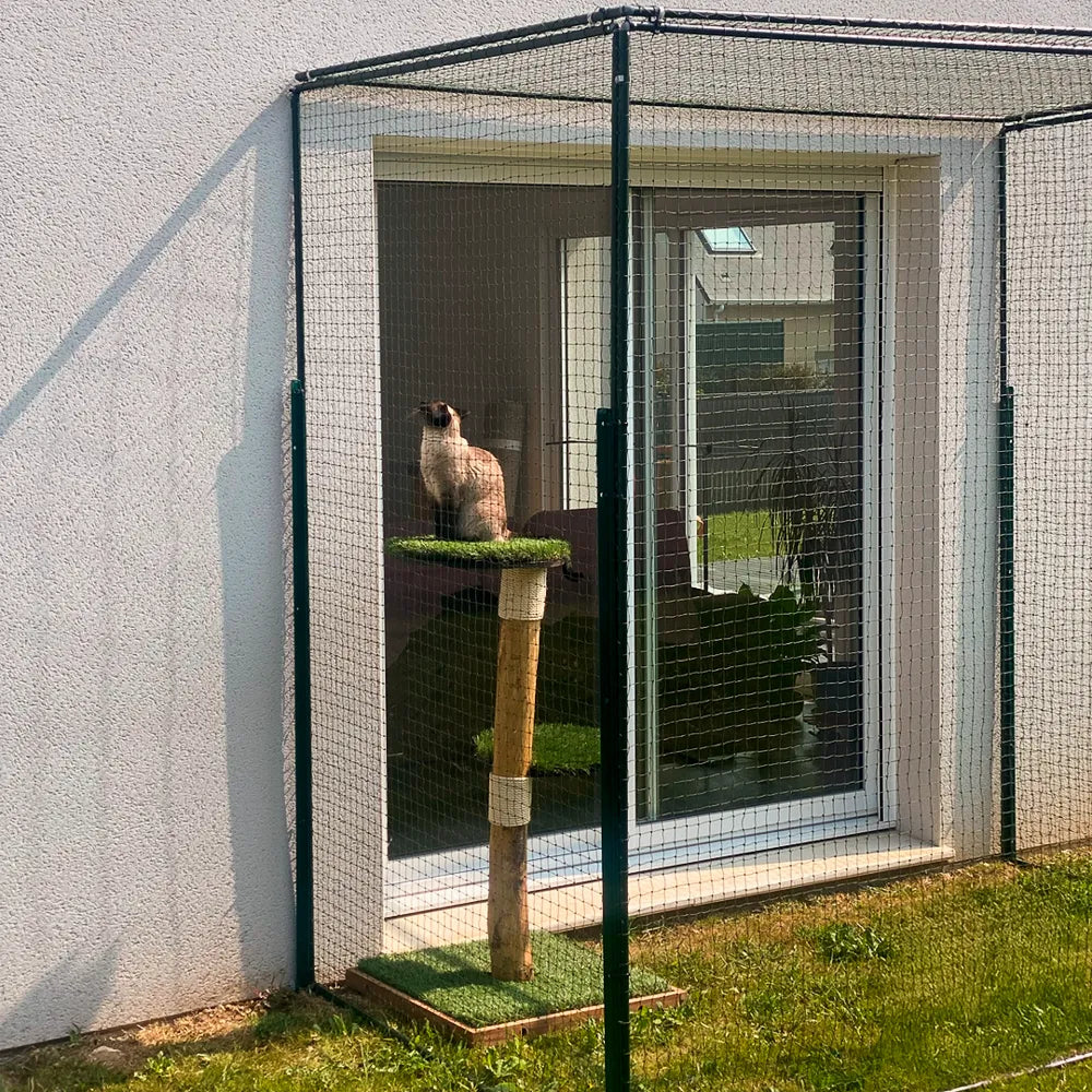 Catio Cadres Anti-Fugue pour chat