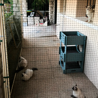Catio Cadres Anti-Fugue pour chat