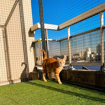 Catio Cadres Anti-Fugue pour chat