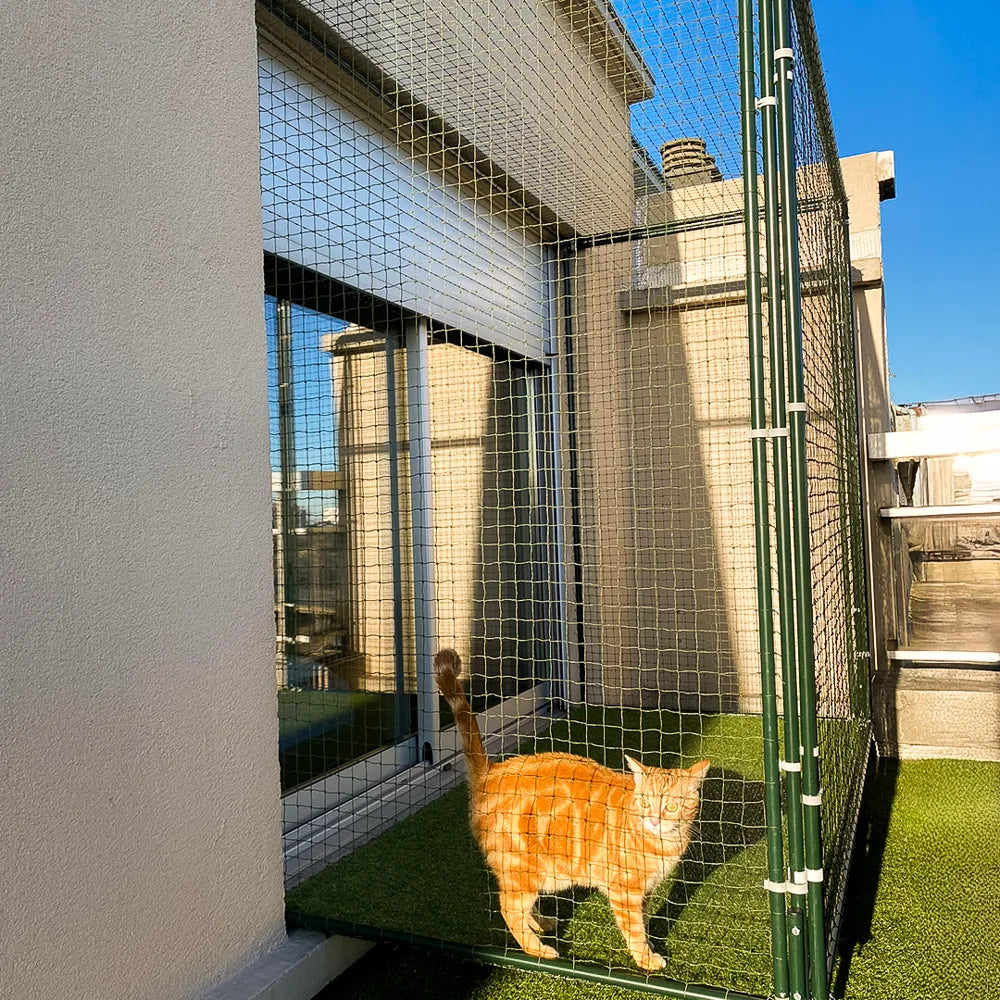 Catio Cadres Anti-Fugue pour chat
