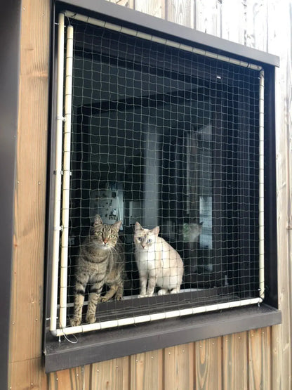 Cadre avec filet de protection encadrement fenêtre et deux chats assis sur rebord