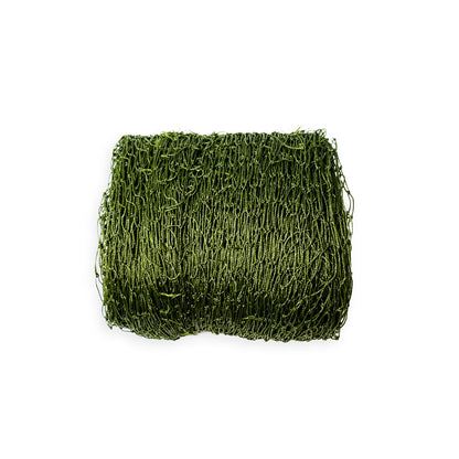 Filet de protection pour chat vert 