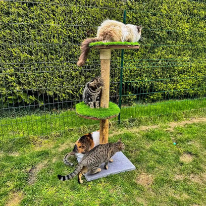 Arbre à chat d'extérieur design en bois