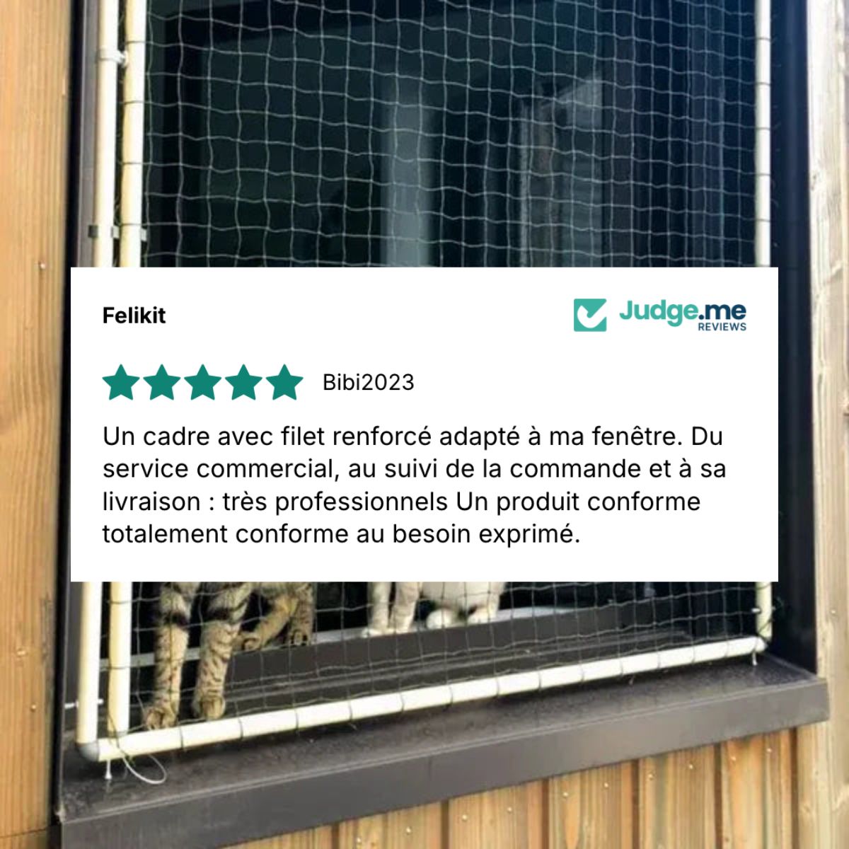 Cadre avec filet pour chat amovible sans trou ni vis - Sur mesure