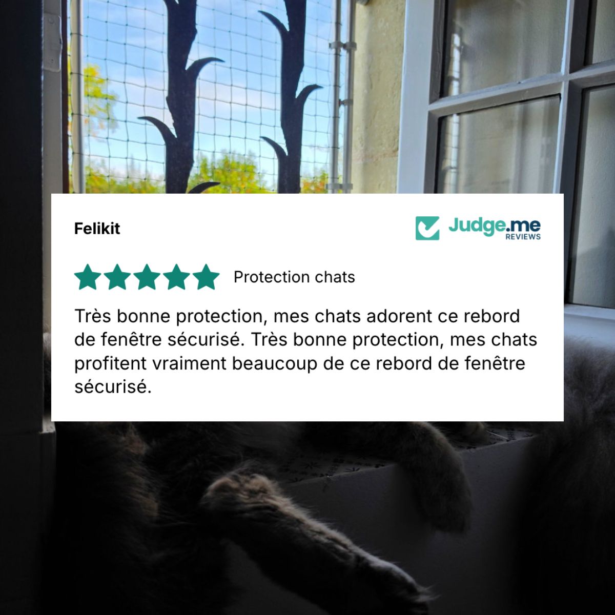 Cadre avec filet pour chat amovible sans trou ni vis - Sur mesure