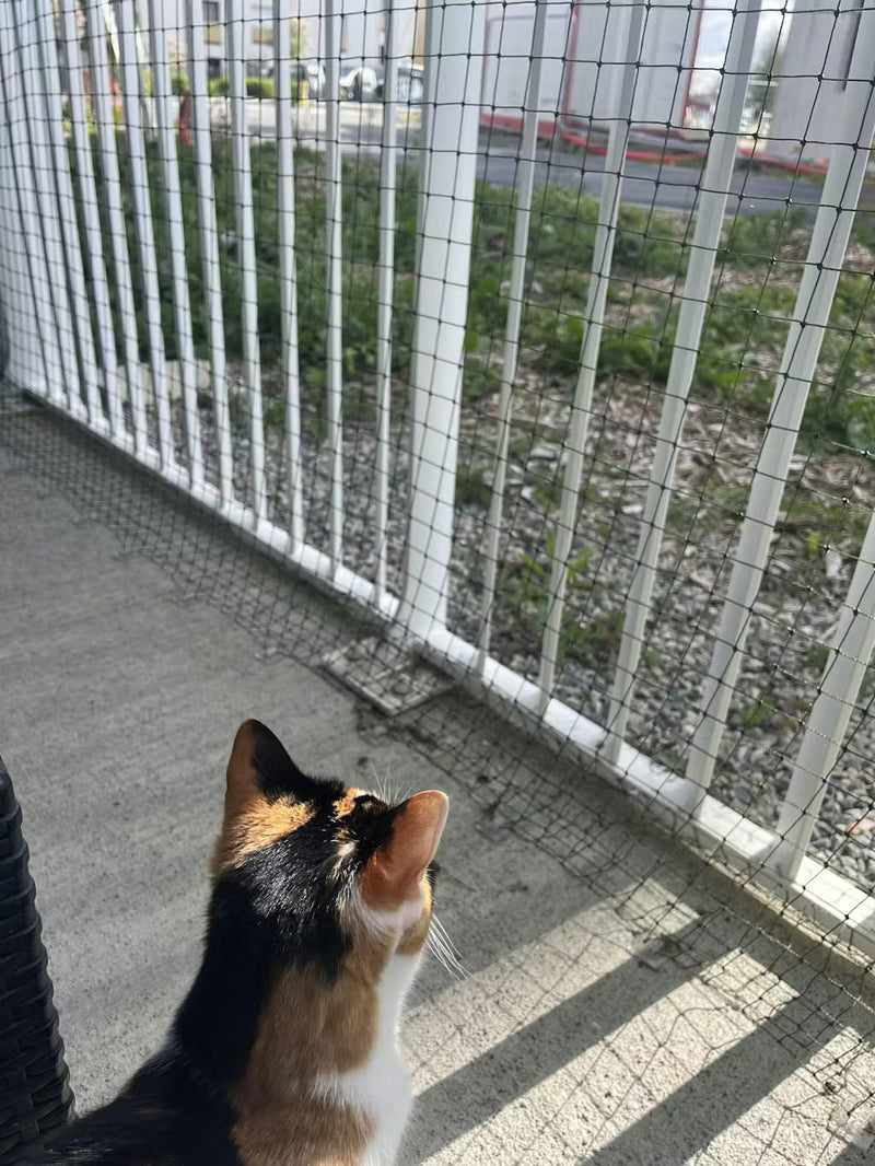 Habitant au rez de chaussée avec un chat qui ne sort pas, on avait absolument besoin de quelques chose pour sécuriser notre balcon.