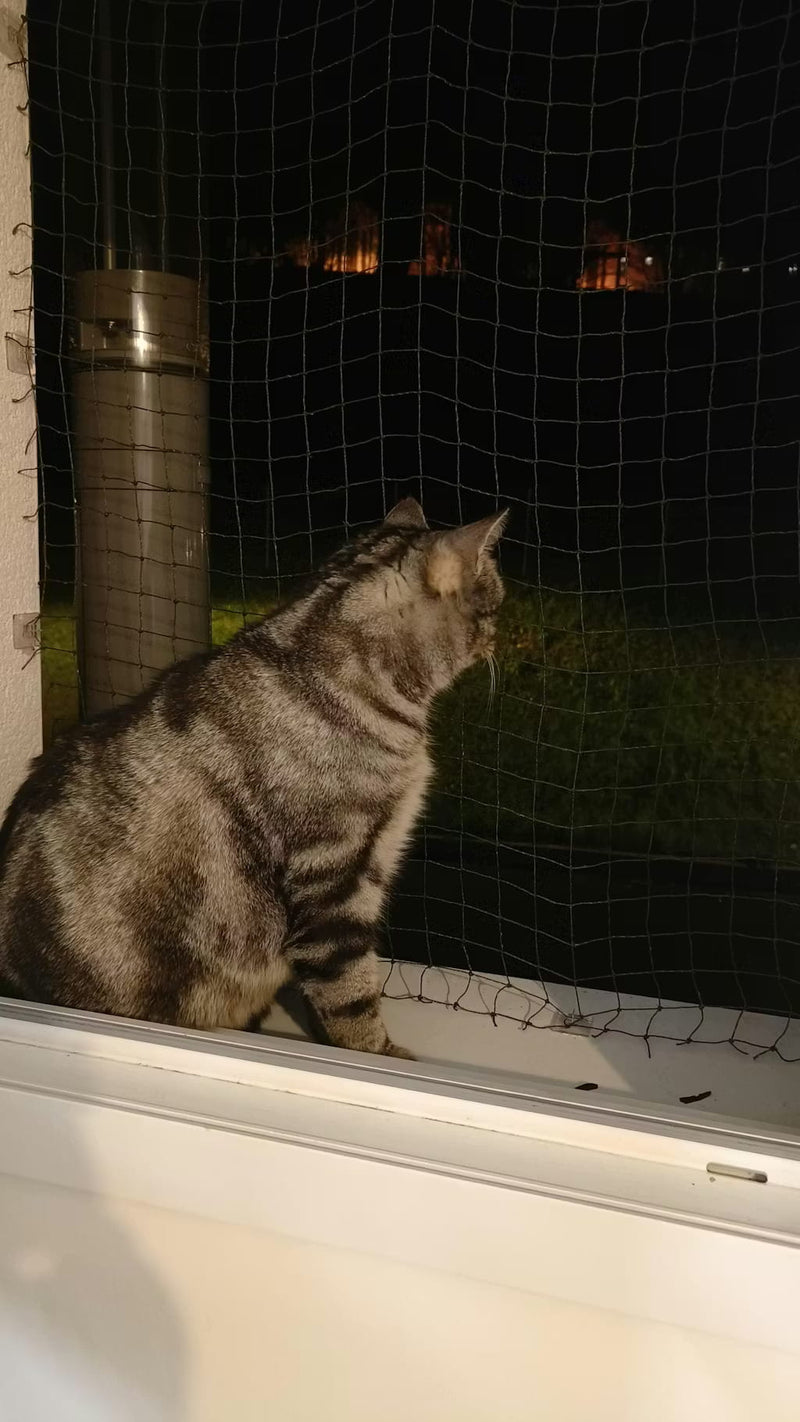 Satisfaite mais plus d'attaches à fournir