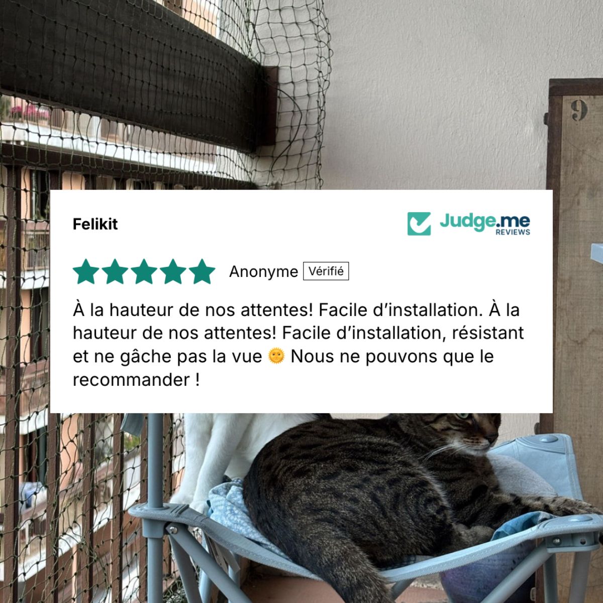 Avis concernant le filet sur-mesure pour chat de Felikit
