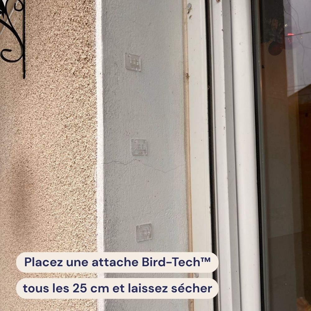 Attaches Bird-Tech™ avec colle