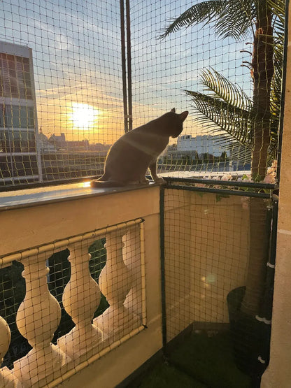 Cadre avec filet de protection installé sur balcon ouvert et chat assis sur rebord 