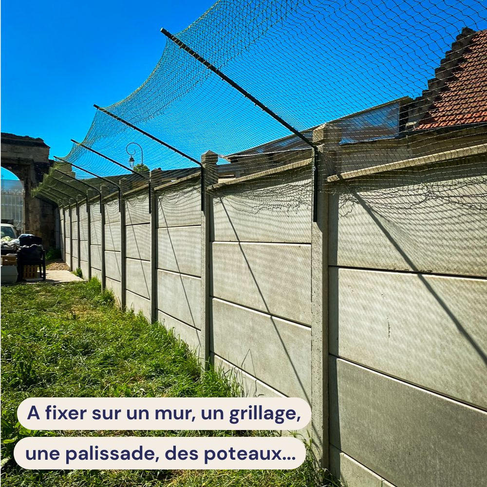 Bavolet anti-fugue - Clotûre pour chat
