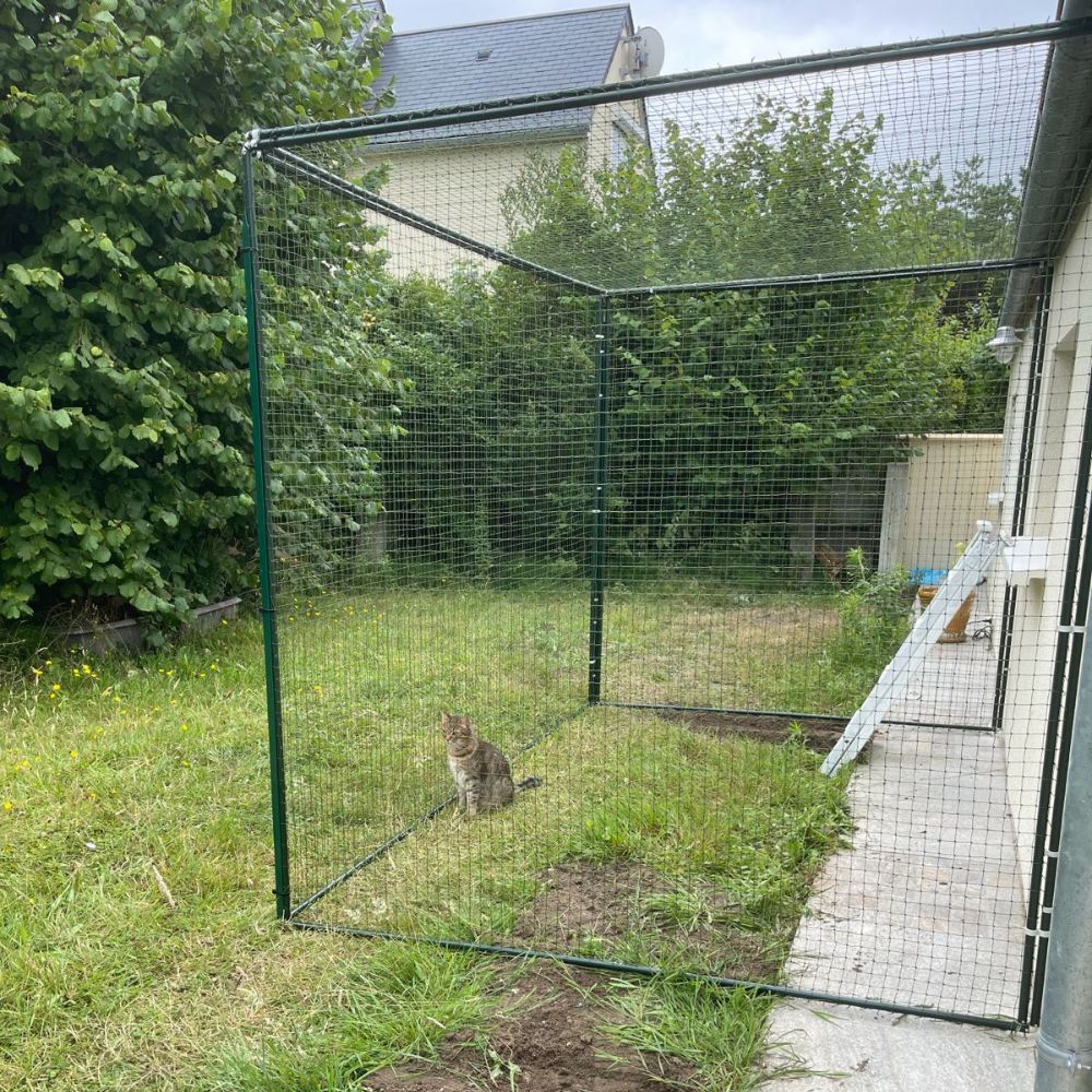 Outdoor cat enclosure/catio