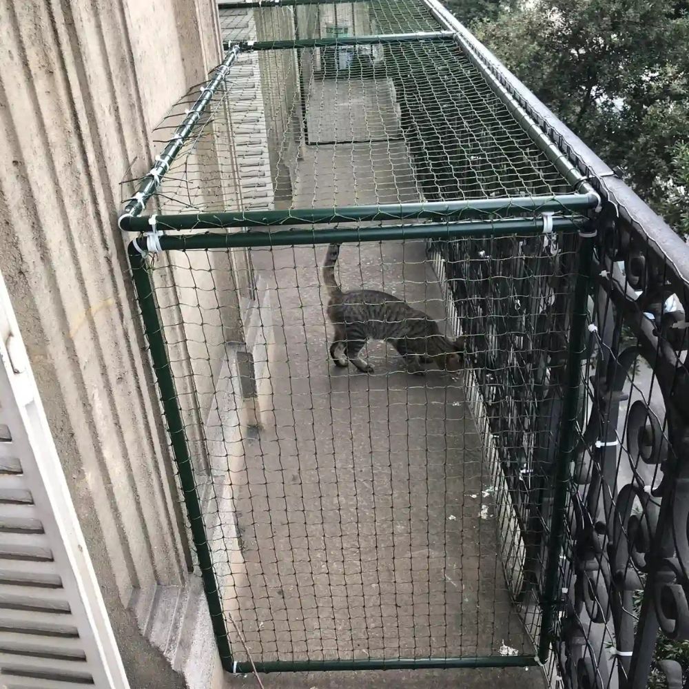 Catio pour chat balcon