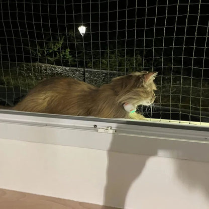 Un chat est protégé par un filet pour chat accroché avec des attaches birdtech