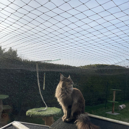 Filet aérien anti fugue chat