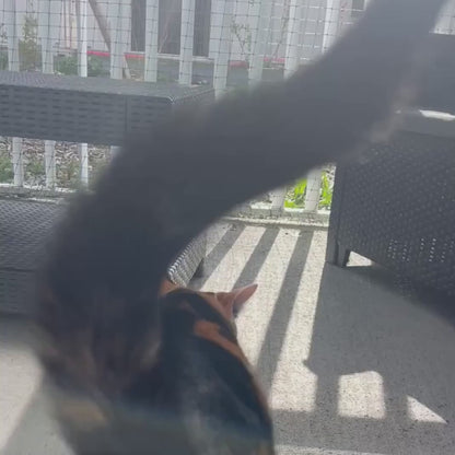 Filet pour chat sans percer (attaches Bird-Tech™)