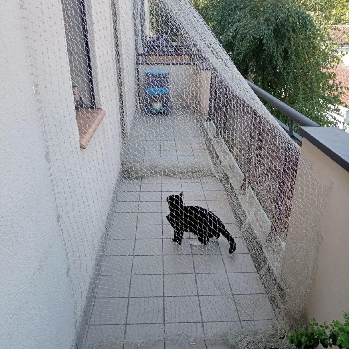 Un balcon est protégé par un filet pour chat accroché avec des attaches birdtech